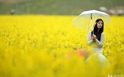 最近中文字幕高清中文